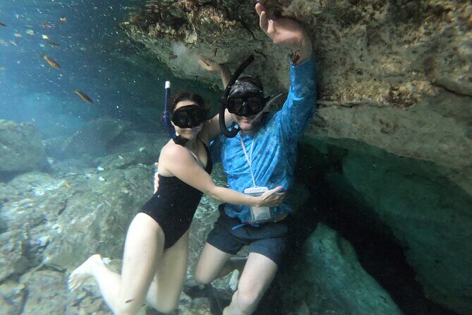 Cenotes by Bike and Mayan Cooking Class Half-Day Guided Tour - Value Check: Is $59.78 a Good Deal?
