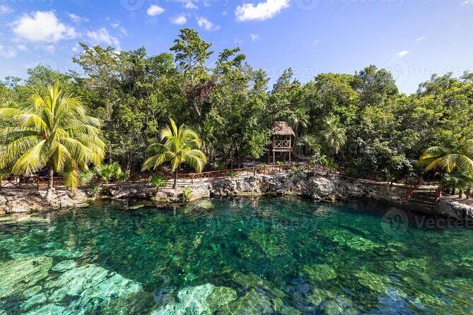 Cenotes Casa Tortuga: 4 Cenotes Day Pass - Quick hits: what makes Casa Tortuga special
