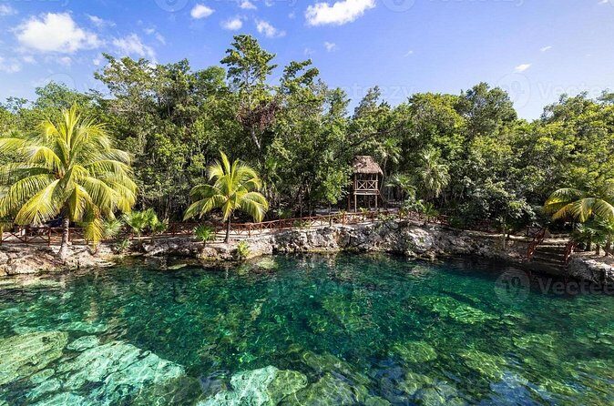 Cenotes Casa Tortuga: 4 Cenotes Day Pass - Guides you can actually connect with: Hernesto and Carlos