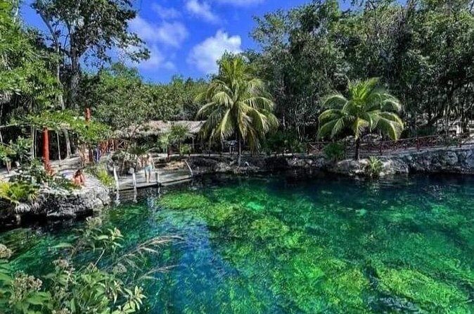 Cenotes Casa Tortuga: 4 Cenotes Day Pass - Group size and crowding: how to keep it calm