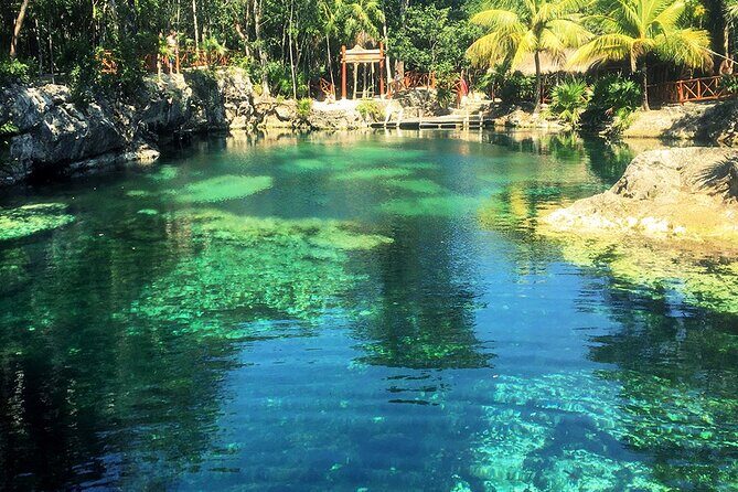 Cenotes Casa Tortuga: 4 Cenotes Day Pass - What to pack so you’re not fighting the day
