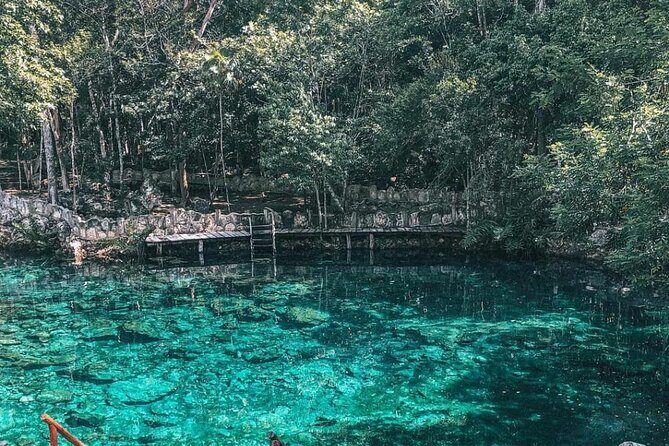 Cenotes Casa Tortuga - Swimming + snorkeling gear: comfortable water time