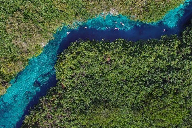 Cenotes diving - Chac Mool and Kukulkan: curtain-light and jungle views underwater