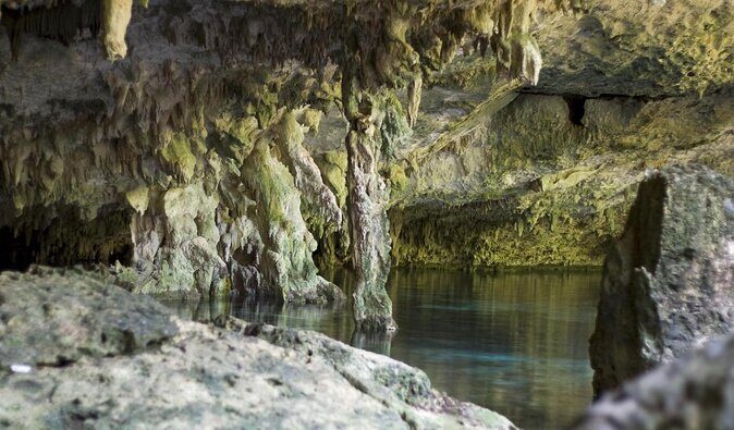 Cenotes diving Dos Ojos and The Bat Cave - Key things to know before you go