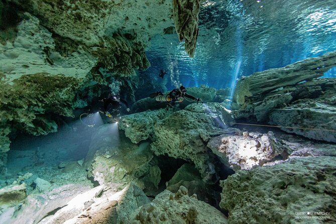 Cenotes diving Dos Ojos and The Bat Cave - Dos Ojos and the Bat Cave: why these two stops work so well together