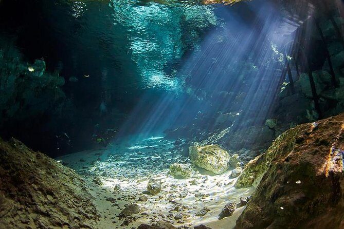 Cenotes diving - Diversland check-in: where the day gets organized