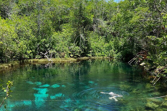 Cenotes Private Tour ( Two Eyes, Jaguar & Nicte-Ha ) - The Private Guide Factor (Miguel’s Photo Tips and Local Context)