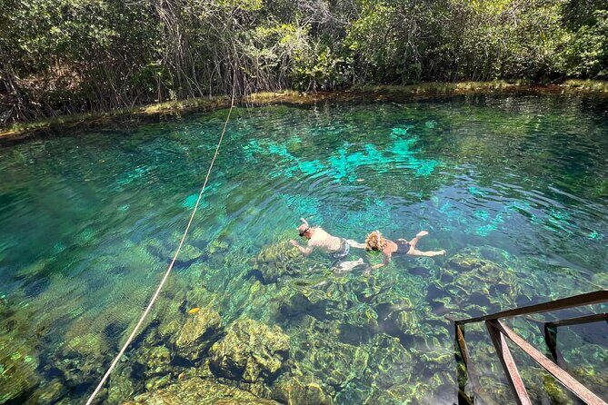 Cenotes Private Tour ( Two Eyes, Jaguar & Nicte-Ha ) - What to Know About Weather, Water Time, and Comfort