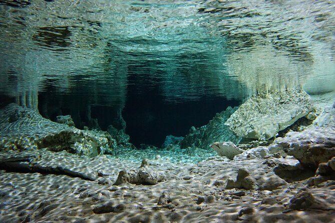 Cenotes Private Tour VIP - Stop 2: Cenote Xunaan Ha for Jumping and Swimming