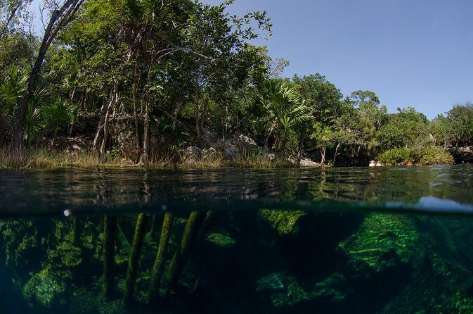 Cenotes snorkeling excursion - Who this tour fits best