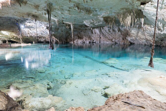 Cenotes Taak Bi Ha & Nicte Ha – VIP Snorkeling Private Tour - Two cenotes, one quiet morning: Nicte Ha plus Taak Bi Ha