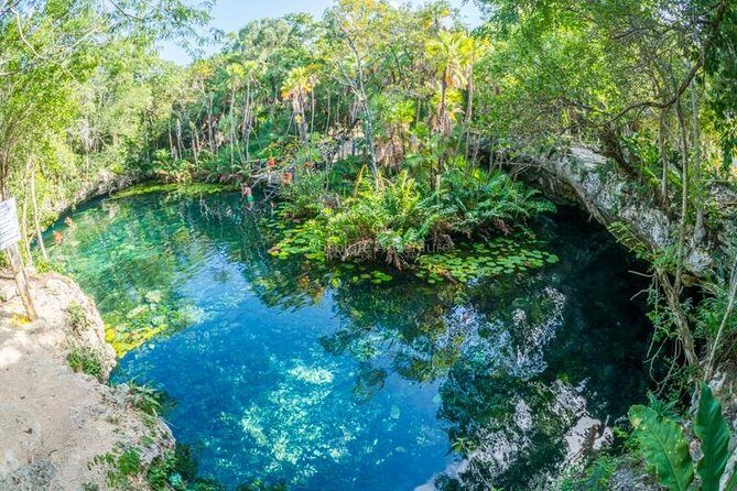 Cenotes Taak Bi Ha & Nicte Ha – VIP Snorkeling Private Tour - Cenote Nicte Ha: open-air snorkeling with sunlight and a jumping spot