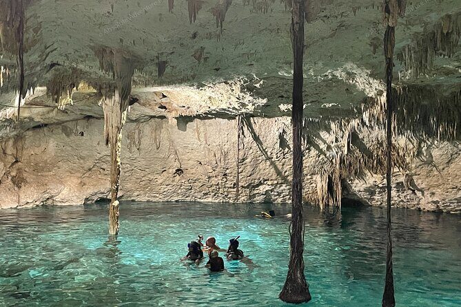Cenotes Taak Bi Ha & Nicte Ha – VIP Snorkeling Private Tour - Gear, wetsuits, and the swimming rule you should take seriously
