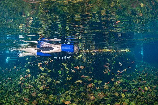 Cenotes Taak Bi Ha & Nicte Ha – VIP Snorkeling Private Tour - Price and value: what $176 buys you in real life