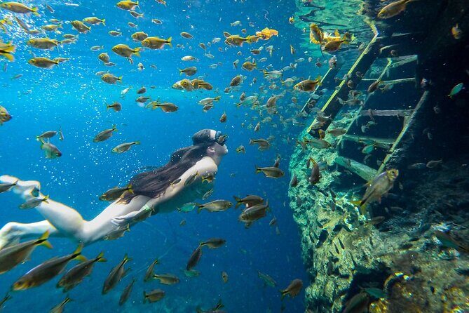 Cenotes Tour: Discover Hidden Gems, from Playa del Carmen - Group size: up to 30, but vans can still feel tight
