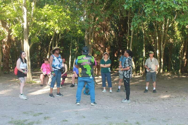 Chacchoben Maya Ruins & Mexican Lunch at the Beach (Combo) - Guides, Groups, and Cruise Logistics: How to Keep the Day Stress-Free