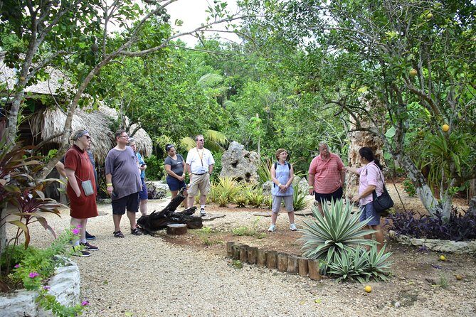 Chacchoben Mayan City and Mayan Experience Combo Tour - Comfort, group size, and the pace you should expect