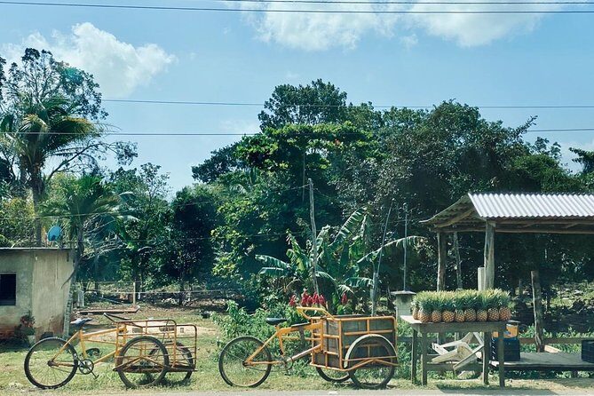 Chacchoben Mayan Ruins and Mayan Experience Tour from Costa Maya - Heat, comfort, and the real-world bus situation