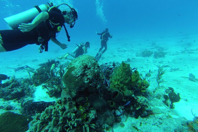 Chankanaab Cozumel Scuba Diving - Key highlights you’ll actually feel