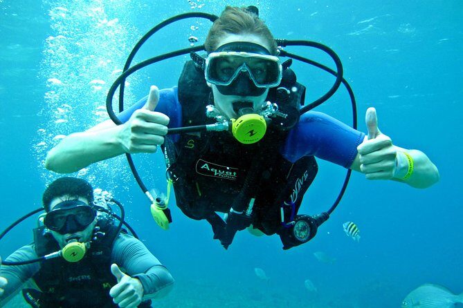 Chankanaab Cozumel Scuba Diving - Chankanaab Beach Adventure Park: the setting that makes the session easy