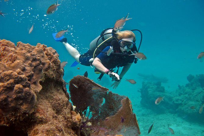 Chankanaab Cozumel Scuba Diving - Getting there from the cruise port: plan for a short taxi ride