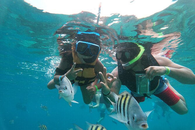 Chankanaab Park Admission + Snorkeling - Chankanaab in 3 hours: a beach day that fits a cruise schedule