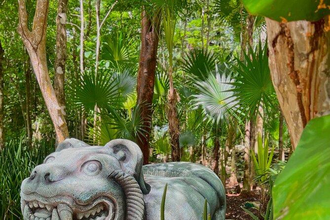 Chankanaab Park Admission + Snorkeling - Price and the fees that can change your final total