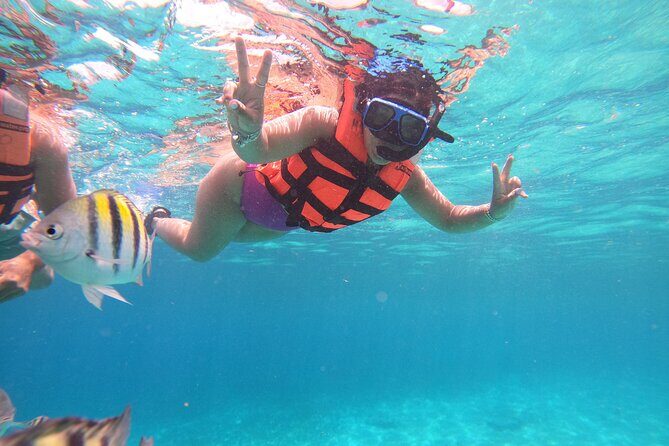Chankanaab Park Admission +Snorkeling + Lunch included - Food, drinks, and tequila tasting without the guesswork