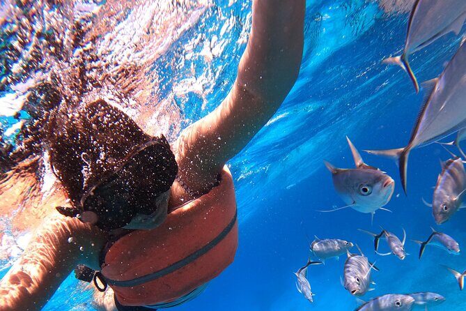 Chankanaab Park Admission +Snorkeling + Lunch included - The 2 to 3 hour pace: fast highlights, not a full-day escape
