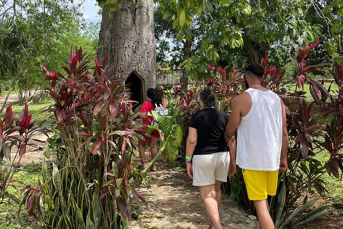 Chichen Itza and Mayan Traditions - The cenote pair at Xunan Natural Park: open swim to cave quiet