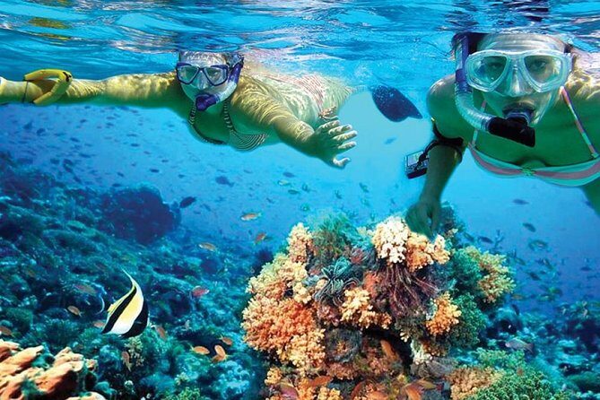 Chichen Itza Early Access & Catamaran to Isla Mujeres - Catamaran to Isla Mujeres: reef snorkeling plus an easy, fun day