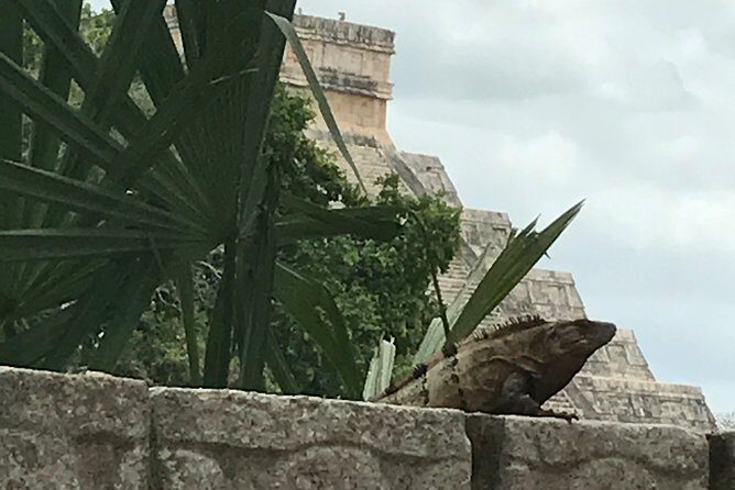 Chichen Itza Private experience - Cenote Selva Maya: Swim Time and a Real Lunch Break