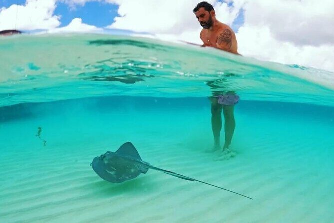 Cielito Cozumel: Mexican Caribbean Snorkeling Tour - Stop 2: Playa Palancar Beach Club and the Colombia Reef feel