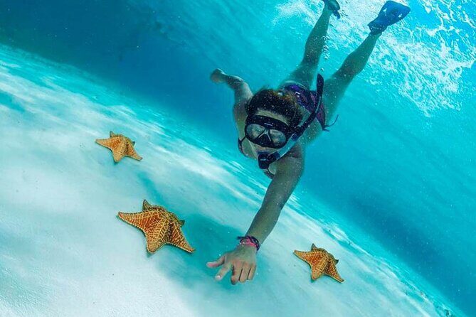 Cielito Cozumel: Mexican Caribbean Snorkeling Tour - Stop 1: Palancar Reef caves, abyss views, and big reef life