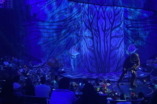 Cirque du Soleil JOYÀ in Vidanta Riviera Maya - Cirque du Soleil JOYÀ at Vidanta Riviera Maya: the value basics