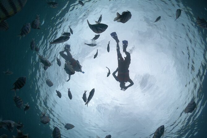 Clear Boat & Snorkel Cozumel Tour with Drinks - Cozumel’s protected waters: why the ride feels more than sightseeing