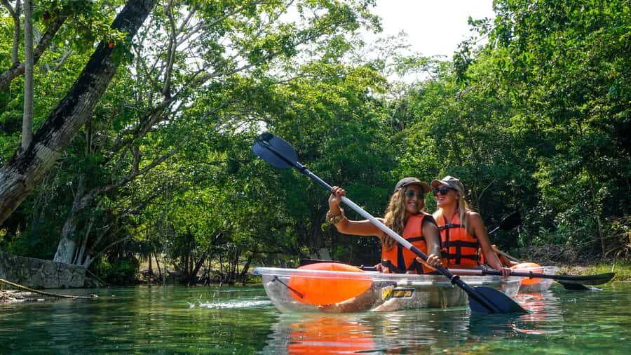 Clear Kayak at Bacalar Lagoon - The Guided 75-Minute Paddle Through Mangroves and Wildlife