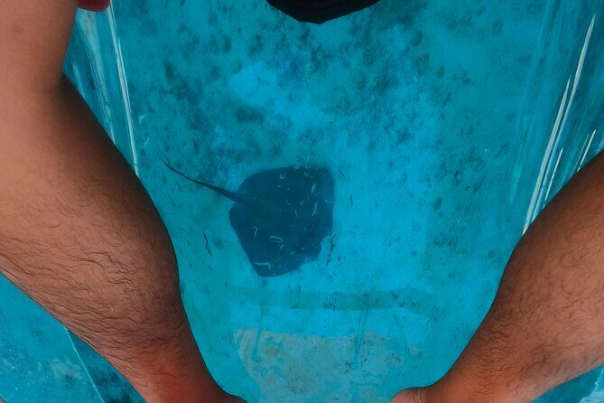 Clear Kayaking, Sea Scooters Adventure - What Happens After Power Snorkeling: Beach Food, Drinks, and Easy Exit Options