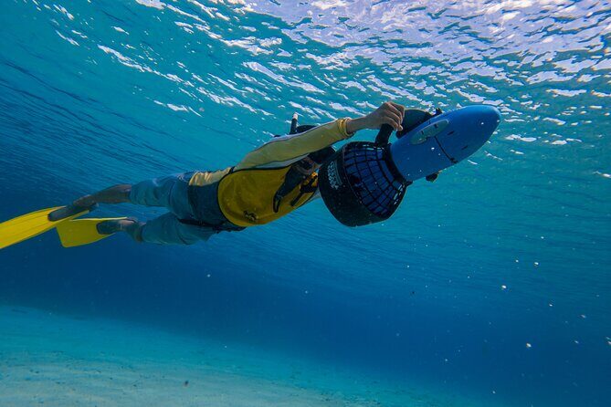 Clear Kayaking, Sea Scooters Adventure - Where You Meet and Why the Noon-Plus Timing Works