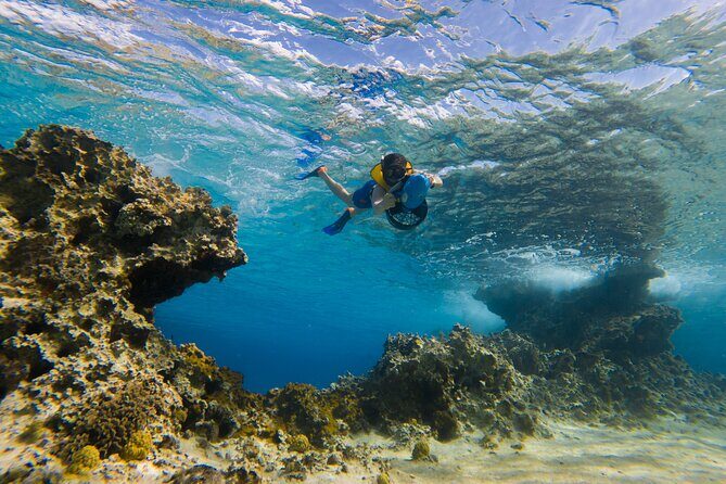 Clear Kayaking, Sea Scooters Adventure - Small Group, Big Help: The Human Side That Makes It Feel Safe