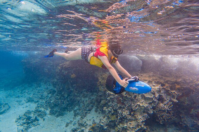 Clear Kayaking, Sea Scooters Adventure - Who Should Book This (and Who Should Skip It)