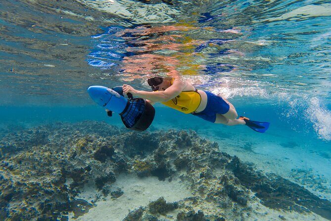 Clear Kayaking, Sea Scooters Adventure - Price and Value: Is $79 Worth It?