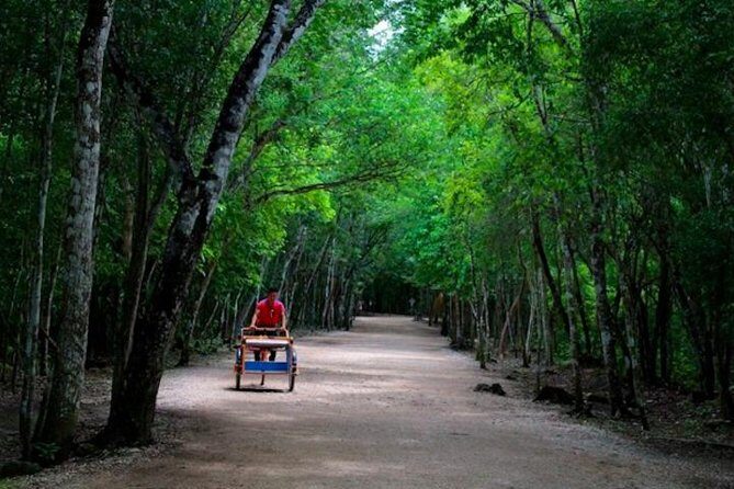 Coba Mayan Ruins and Cenote Cultural Full-Day Tour from Riviera Maya - Lunch and free time rhythm: staying fed without slowing the day