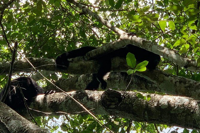 Coba Ruins and Punta Laguna Monkey Reserve Day Tour from Tulum - Lunch and Artisan Time: Fuel for the Ride Home