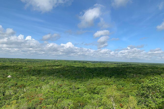 Coba Ruins and Punta Laguna Monkey Reserve Day Tour from Tulum - Guides, Safety, and the VIP Feeling
