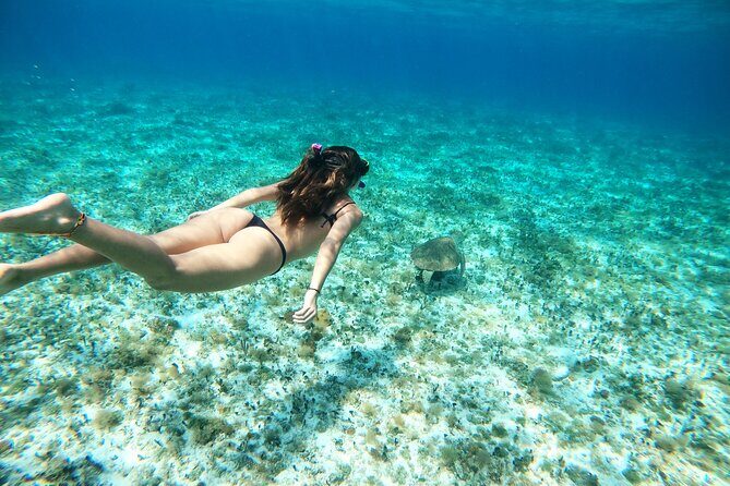 Colombia, Palancar & Cielo Cozumel Snorkel Tour - How This Cozumel Snorkel Tour Really Works