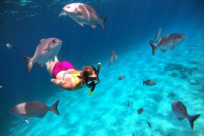 Colombia, Palancar & Cielo Cozumel Snorkel Tour - Guides and Crew: Friendly, Bilingual, and Hands-On