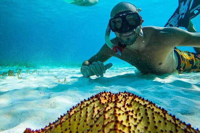 Colombia, Palancar & Cielo Cozumel Snorkel Tour - Snorkeling Gear: What You’ll Have, What You Might Need