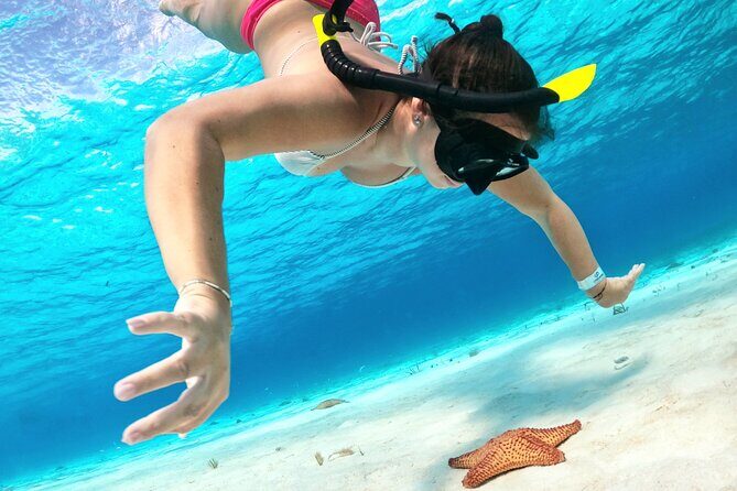 Colombia, Palancar & Cielo Cozumel Snorkel Tour - The Boat Ride: Speed, Safety, and Small-Group Comfort