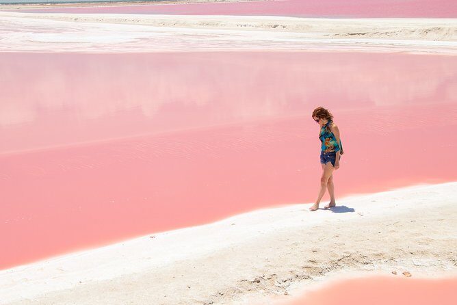 Coloradas Pink Lagoon Adventure from Playa del Carmen and Riviera Maya - Why this Pink Lagoon and Rio Lagartos combo works